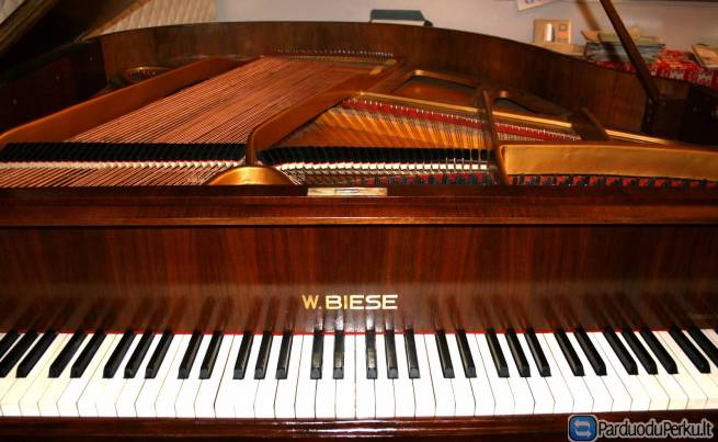 Renner mechanik Rojalis (Voketija)