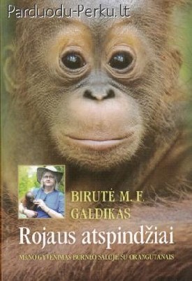 Rojaus atspindžiai. Birutė M. F. Galdikas