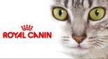 Royal Canin