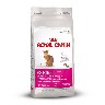 Royal Canin maistas katėms pigiau
