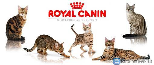 ROYAL CANIN