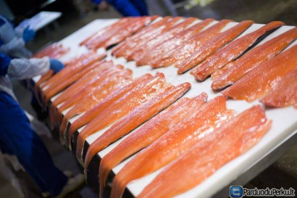 Rūkytos lašišos fabrike darbas Olandijoje