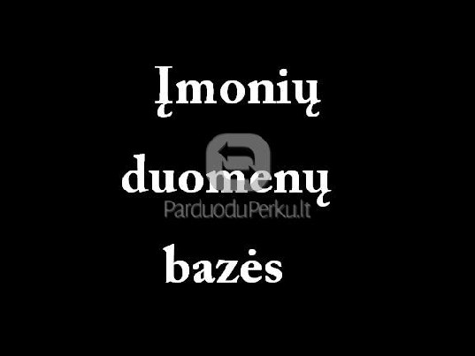 Rusijos įmonių duomenų bazė