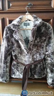 Rusvai pilksvi kailinukai dydis Xs