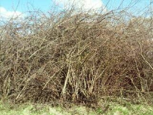 saku, siuksliu isvezimas, savivartis su greiferiu