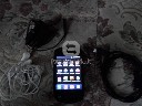 Samsung Galaxy Mini S5570