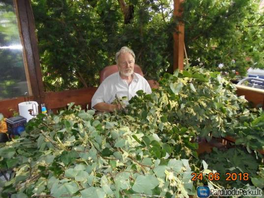 šeimos pirties diena