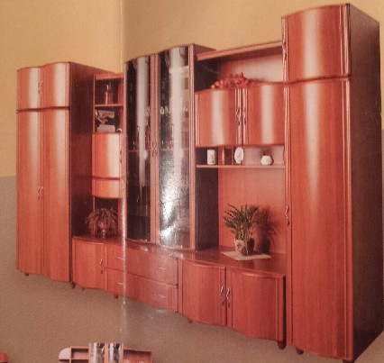 Sekcija spinta " Nida"