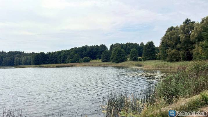 SENA SODYBA PRIE EŽERO 3,61ha, 500 m pakrantės link Aukštadvario