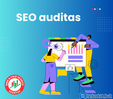 SEO auditas