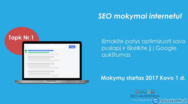 SEO mokymai internetu