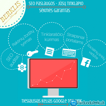 SEO paslaugos – efektyvi tinklapių optimizavimo pagalba