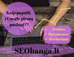 SEO paslaugos | Matomumui | Pardavimams