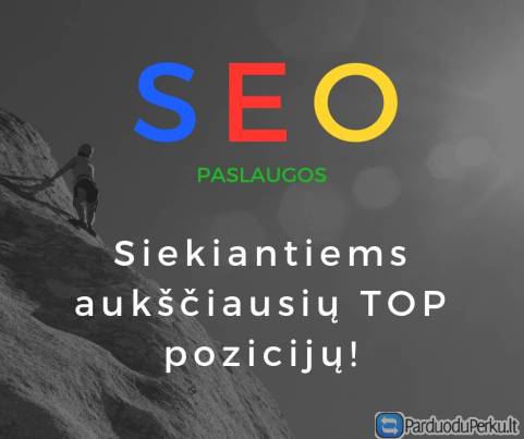 Profesionalios SEO paslaugos už prieinamą kainą