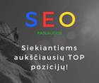 Profesionalios SEO paslaugos už prieinamą kainą