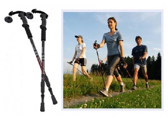 ŠIAURIETIŠKO ĖJIMO LAZDOS PIGIAU