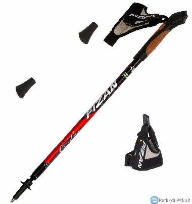 Šiaurietiško ėjimo lazdos