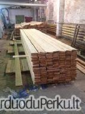 Sibiro maumedžio ir pušies