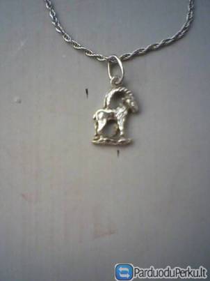 Sidabrinė grandinė S NAUJA