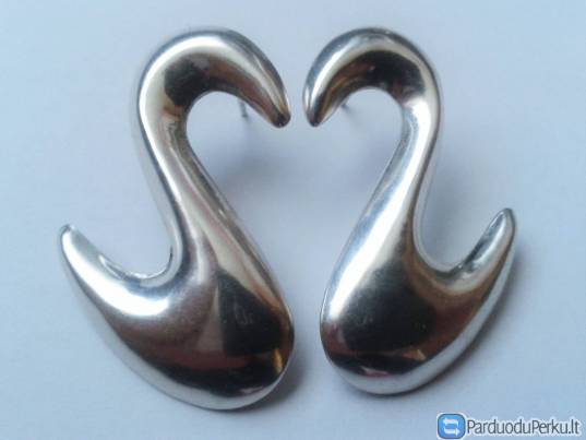 Sidabriniai auskarai