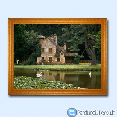 ŠILDANTIS PAVEIKSLAS