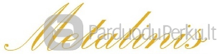 Silpnų srovių ir elektros tinklų projektuotojas