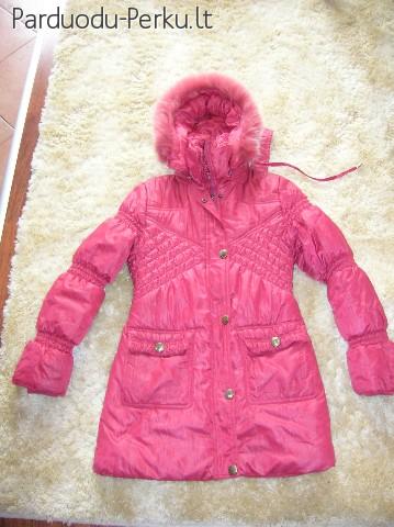siltas zieminis paltas