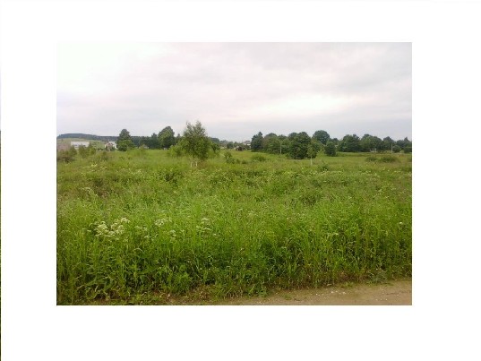 Sklypas 500 ar. Šalcininku r. Žemės ūkio.