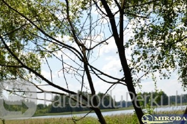 Sklypas ant ežero kranto