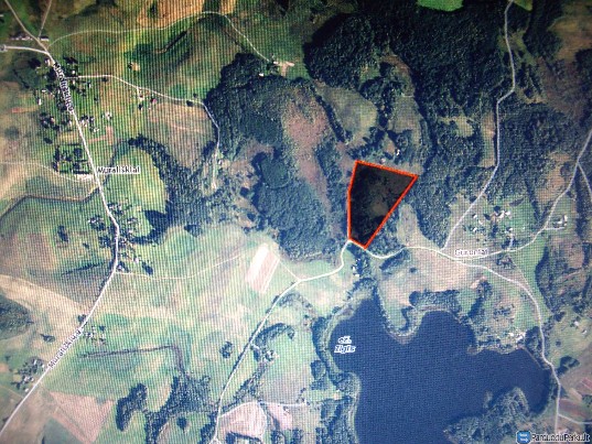 Sklypas MOLĖTŲ r., MURALIŠKIŲ k., prie ILGIO ež. ( 3.92 ha )