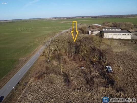 Sklypas Panevėžio r., Daniūnų k.