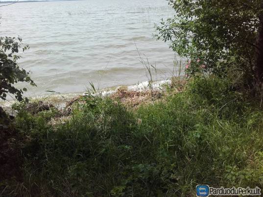 Sklypas prie Dysnų ež.,Ignalinos raj.