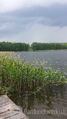 PIGIAI SKLYPAS PRIE EZERO LAZDIJU RAJONE