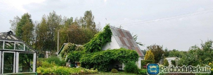 Sklypas SB "Agluona", Šnaukštų k., Klaipėdos r. sav. 12 arų