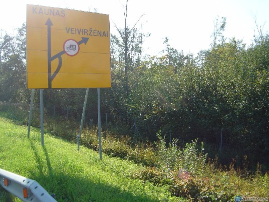 Sklypas su mišku prie automagistralės