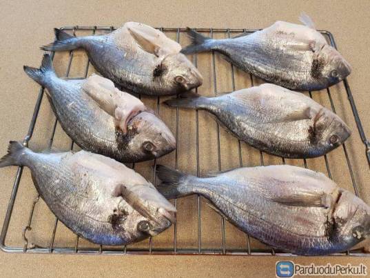 SKUBIAI DARBAS PRANCŪZIJOJE ŽUVIES FABRIKE