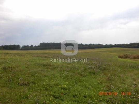 SKUBIAI IR BRANGIAI PERKAME SKLYPUS RADVILIŠKIO RAJONE