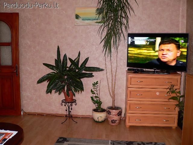 SKUBIAI IR NEBRANGIAI PARDUODU 2 KAMBARIŲ BUTĄ