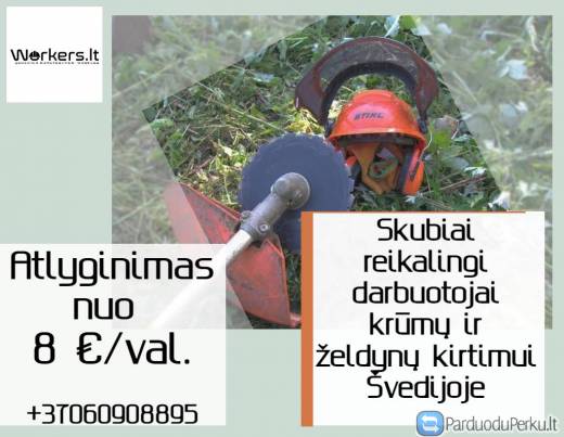 Skubiai reikalingi darbininkiai krūmų ir želdinių kirtimui Švedijoje