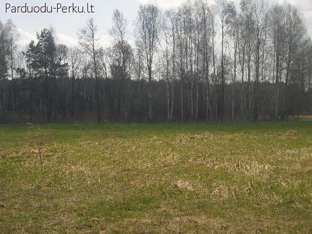 Skubiai parduodamas žemės sklypas