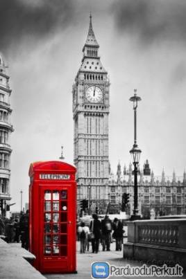 Šnekamoji anglų kalba suaugusiems. Įveikime barjerą, kalbėkime laisvai!