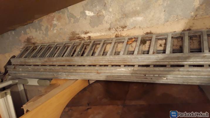 Snieglaikiai (13vnt.)