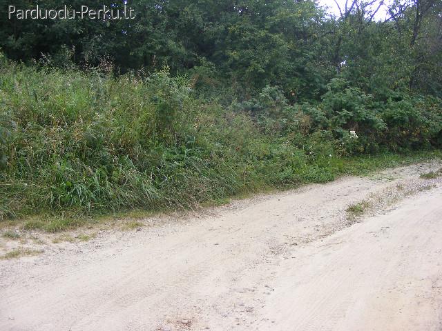 sodas 8,96aro rodunios kelias .prie orouosto