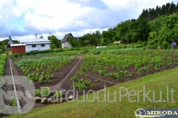 Sodas Nemunaičio k.