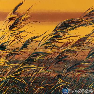 "Šokančios smilgos" 1000x1000