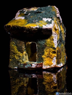 Speciali priemonė pelėsių ir sporų naikinimui