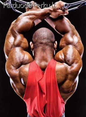 Sportuojantiems – raumenų masės auginimui