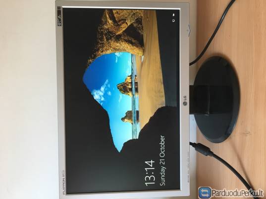 Stacionarus monitorius