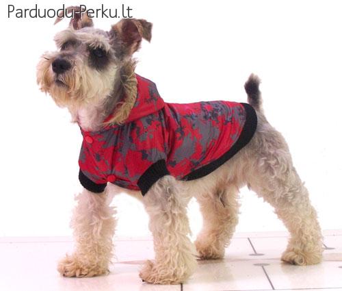 Striukės šuniukams