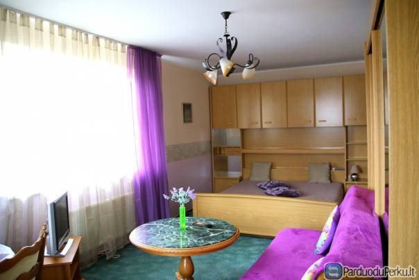 Studio, netoli botanikos sodo, universitetų, ligoniniu